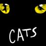 Tickets on Sale For Brisbane Season of CATS