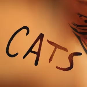 CATS UK Tour Extends With New 2027 Dates Following Regent’s Park Run
