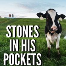STONES IN HIS POCKETS Comes to The Weathervane Theatre