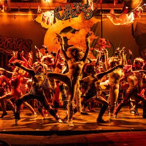 Photos: First Look at CATS THE MUSICAL at CM Performing Arts Center