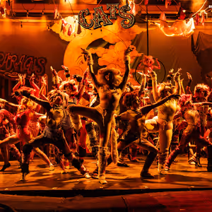Photos: First Look at CATS THE MUSICAL at CM Performing Arts Center