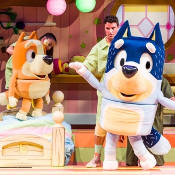 BLUEY's First Live Stage Show To Raise Curtains In Theaters Across Canada! Photo