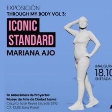 El Museo De Arte De Ciudad Juárez Expone Iconic Standard Como Parte Through My Body 