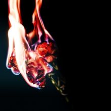 MEDEE Comes to Teatr Wielki in January 2024