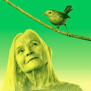 Cast Set For CARE By Alexander Zeldin at The Young Vic