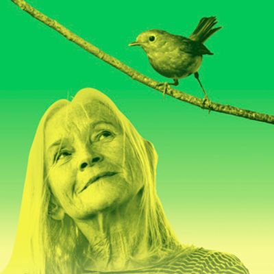 Cast Set For CARE By Alexander Zeldin at The Young Vic