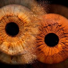 Firehall Arts Centre Presents ETUAPTMUMK/TWO-EYED SEEING: WAYS OF BEING AND SEEING, N