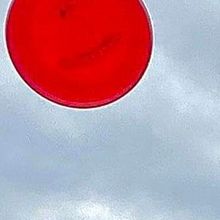 THE CANINE STARS STUNT DOG SHOW Comes to State Theatre New Jersey