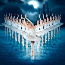 World Ballet Series: SWAN LAKE Comes to Thalia Mara Hall This Month