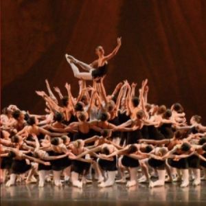 Hundreds of Local Young Ballerinas Compete for Scholarships in Tampa,