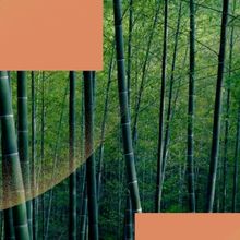 CROUCHING TIGER, HIDDEN DRAGON LIVE IN CONCERT Comes to Hong Kong