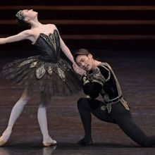 Educational Programme-First Steps: Swan Lake Comes to the New National Theatre, Tokyo