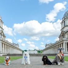 Old Royal Naval College To Present THE GREENWICH DOG SHOW and More This Spring