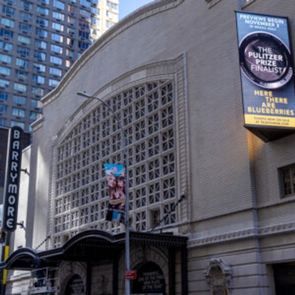 Up on the Marquee: HERE THERE ARE BLUEBERRIES Arrives on Broadway Photo