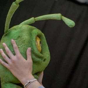 This is Croydon To Present the Premiere of THE STEPPING STONES PINOCCHIO PROJECT