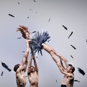 Circa’s Acrobatic Spectacle DUCK POND Flies Into Sydney Opera House This January