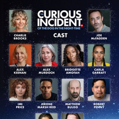 The Role of 'Chris' Will Be Played By Female Leads in THE CURIOUS INCIDENT OF THE DOG