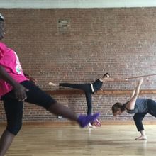 Stefanie Nelson Dancegroup Will Host EVERYONE DANCE, SPRING 25