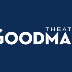 Roche Schulfer Will Step Down as Executive Director/CEO at the Goodman Theatre