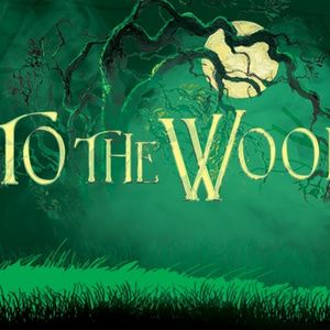 Full Cast Set for INTO THE WOODS at Cape Playhouse