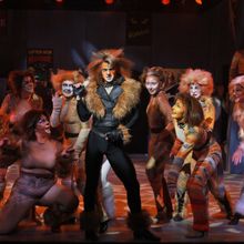 Photos: CATS Opens at Beef & Boards Dinner Theatre