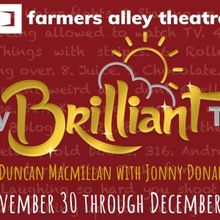 Farmers Alley Theatre Presents The Regional Premiere Of EVERY BRILLIANT THING