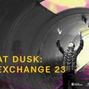 Arts & Cultural Exchange Launches ACE AT DUSK Next Month