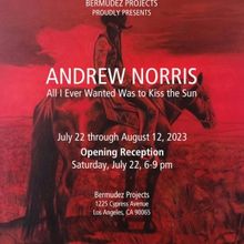 Andrew Norris Brings ALL I EVER WATNED WAS TO KISS THE SUN to Bermudez Projects