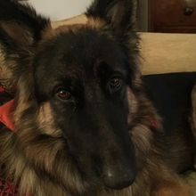 Final Cast Set For MEN'S BUSINESS at the Finborough Theatre