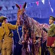 Photos: WAR HORSE Returns To National Theatre Photo
