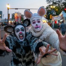 RAT ACADEMY Comes to the Pi Theatre Next Month