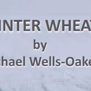 29th Street Playwrights Collective To Present Staged Reading Of WINTER WHEAT