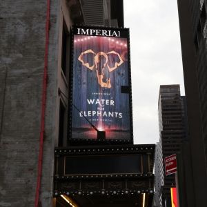 Up on the Marquee: WATER FOR ELEPHANTS