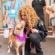 Photos: Inside the 25th Annual BROADWAY BARKS Adoption Event