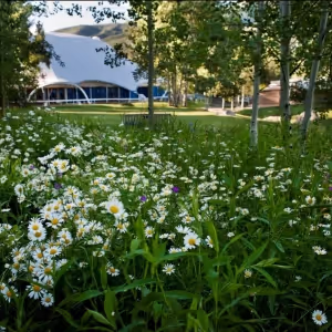 Aspen Music Festival Announces New Media Partnerships