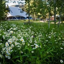 Aspen Music Festival Announces New Media Partnerships