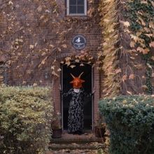 MoMA's DOC FORTNIGHT 2024 Showcases Exciting Lineup of Documentaries