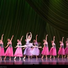 Photos: Nashville Ballet Presents NASHVILLE’S NUTCRACKER