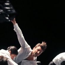SHECHTER/ WELLENKAMP/NAHARIN Comes to Bilheteira Teatro Camões in May