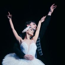 San Francisco Ballet Brings Iconic SWAN LAKE To Madrid's Teatro Real Interview