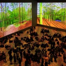 Lightroom Celebrates Hockney's 86th Birthday With Portrait By Julian Beever As Bookin