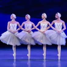 American Repertory Ballet | Princeton Ballet School Reveal Major Matching Giving Oppo