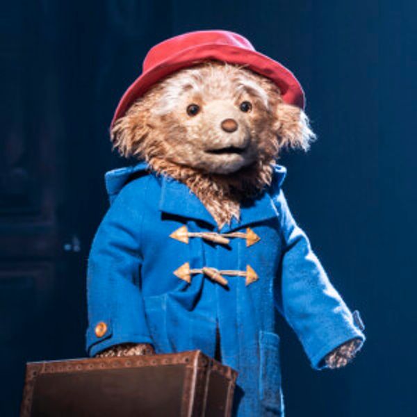 PADDINGTON THE MUSICAL Will Open at Capitol Theatre Sydney Photo