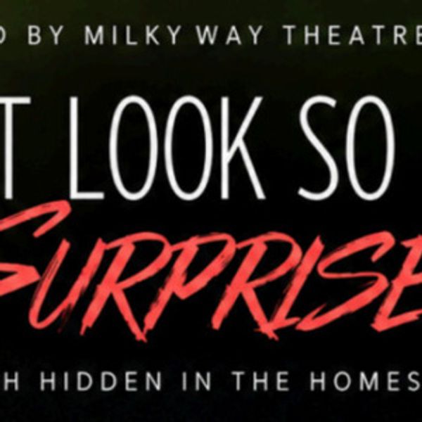 DON'T LOOK SO DAMN SURPRISED Will Come to MilkyWay Theatre Company Photo