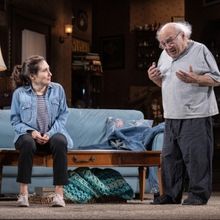Photos: First Look At Danny DeVito and Cast In I NEED THAT On Broadway