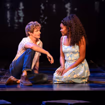 Photos: John Rubinstein, Alysha Deslorieux, and More in THE NOTEBOOK North American Tour