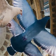 LA CLEMENZA DI TITO Comes to The Vienna State Opera