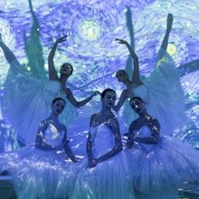 VAN GOGH: THE IMMERSIVE EXPERIENCE Experience Announces Partnership With Tulsa Balle