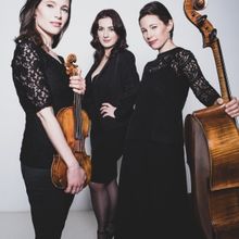 Princeton Festival Reveals Lineup For Weeknights