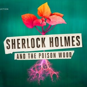 Rock Musical SHERLOCK HOLMES AND THE POISON WOOD Premieres at the Watermill Theatre…